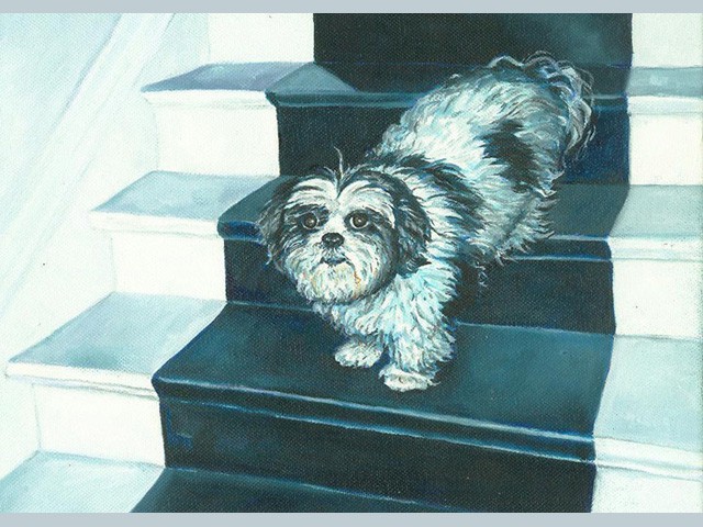 Dog Descending a Staircase